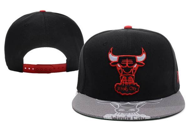 NBA Chicago Bulls NE Snapback Hat #301